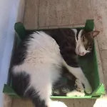 Kas Hotel * Kaş