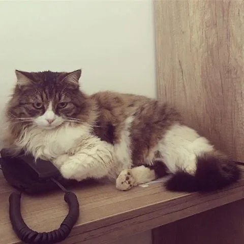 Kas Hotel 호텔 카스